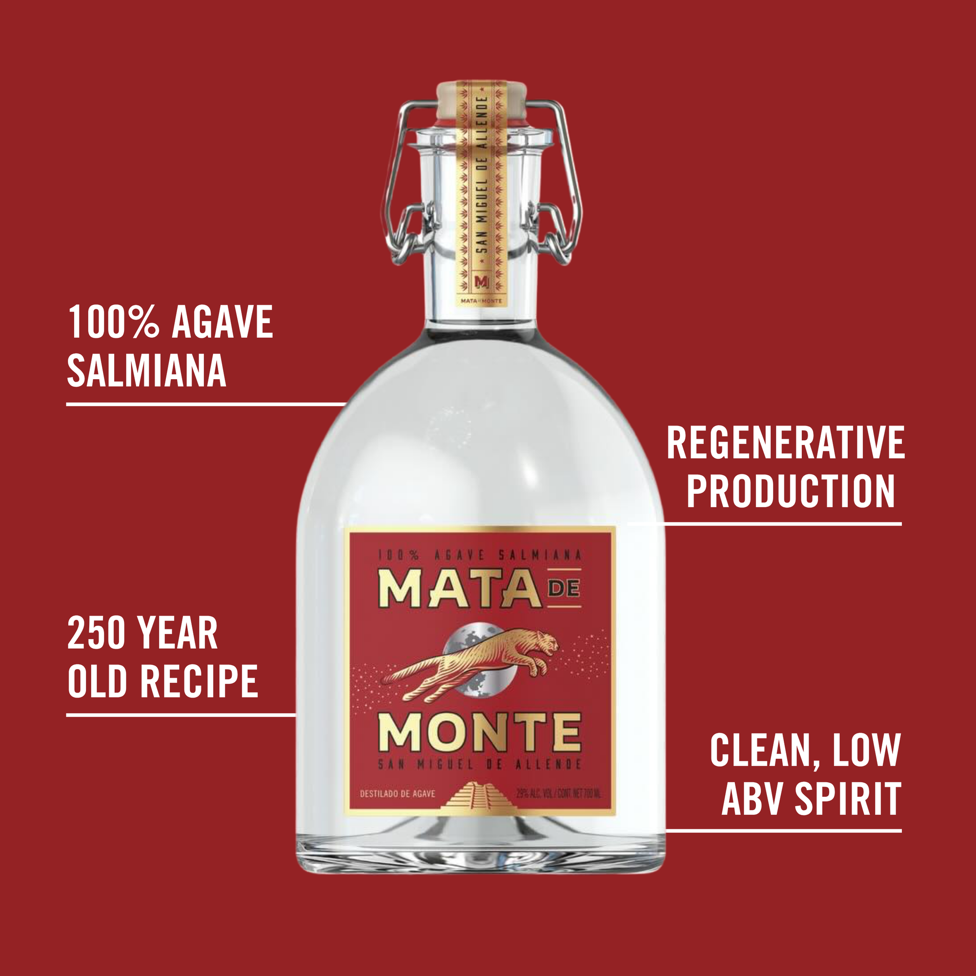 Mata De Monte