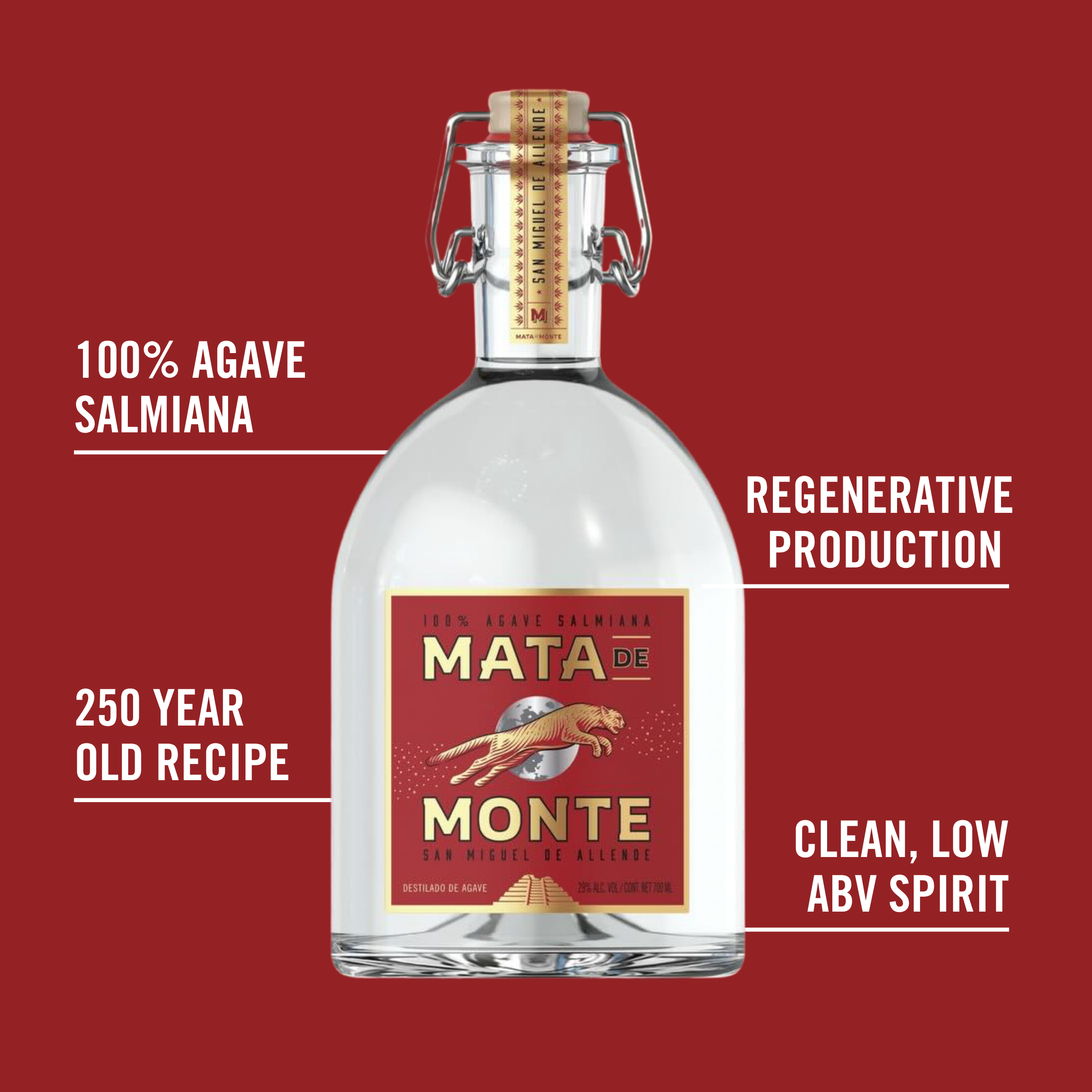 Mata De Monte