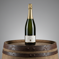 Riesling Sekt, Brut, Methode Traditionelle, Germany