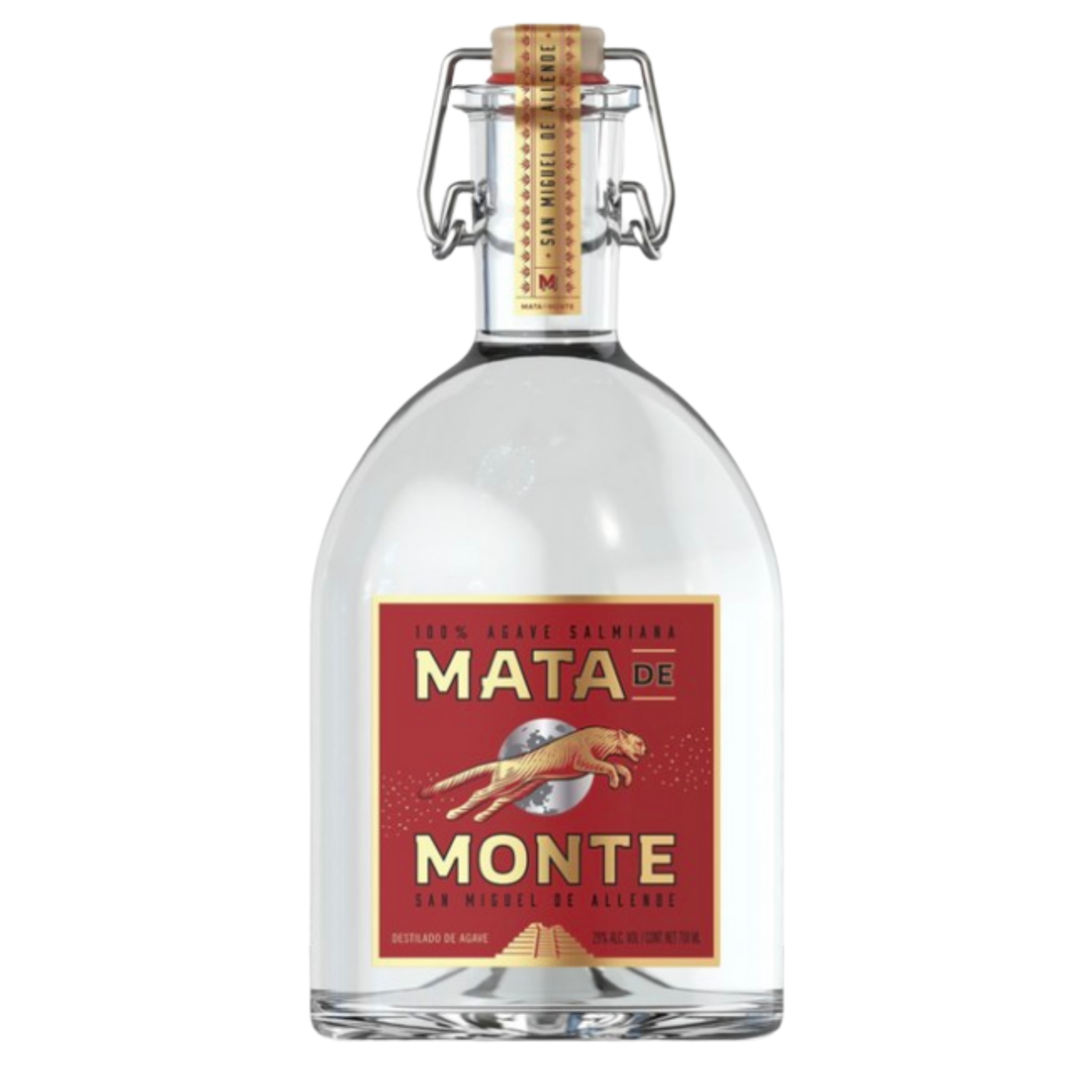 Mata De Monte