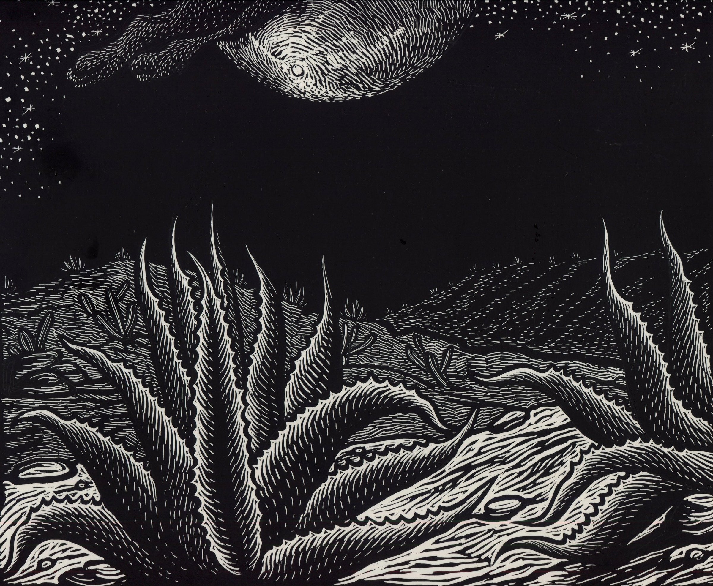 Decorative separator image